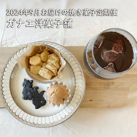 マツヤマハナビのお菓子な定期便