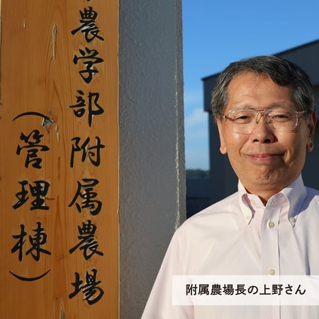 【期間・数量限定】2026年産新米／農薬・化学肥料不使用「愛媛大学の安心米」（コシヒカリ）1袋5kg