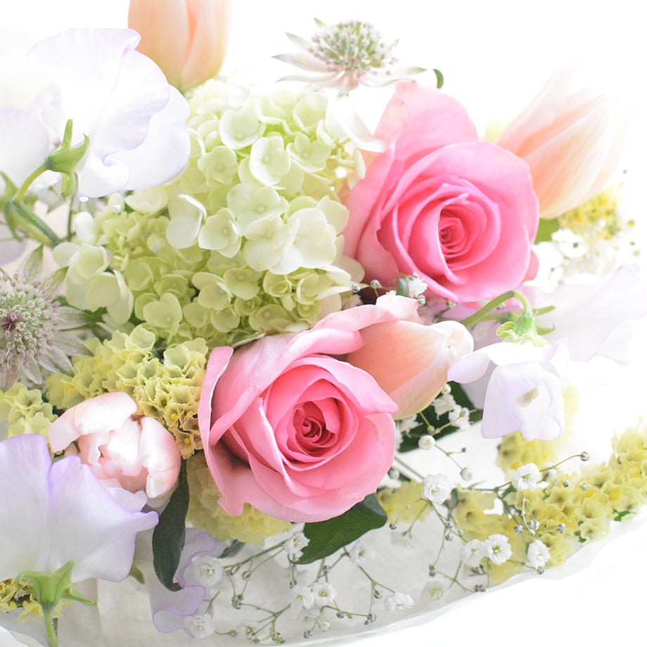 63f83a313313d271a62fbf24