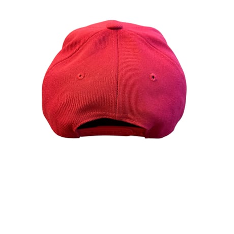 6PANEL CAP  TYPE-1(RED)