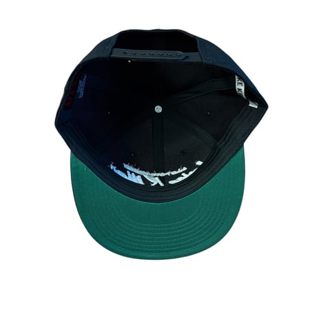 6PANEL CAP(A LOT OF MONNEY)(BLACK) (つば裏グリーン）