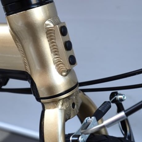 【Tern】　 Kanga Rack