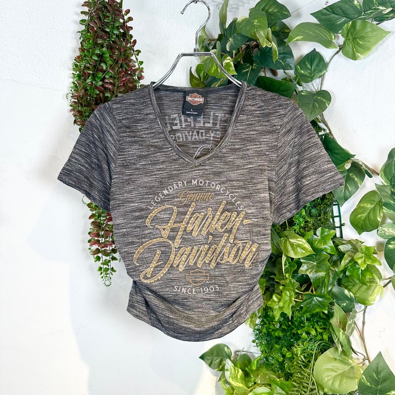 きらきらロゴのハーレーリメイクサイドギャザーTシャツ IGB1202