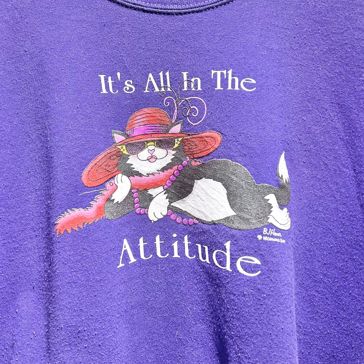 猫ちゃんスウェット トレーナー 古着 shurry nodress itimi 猫ちゃんスウェット トレーナー 古着 shurry nodress itimi