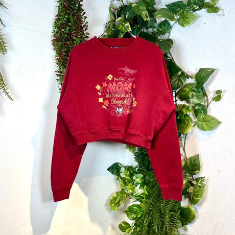 どこか懐かしいほっこり刺繍リメイクショートスウェット IGB1278