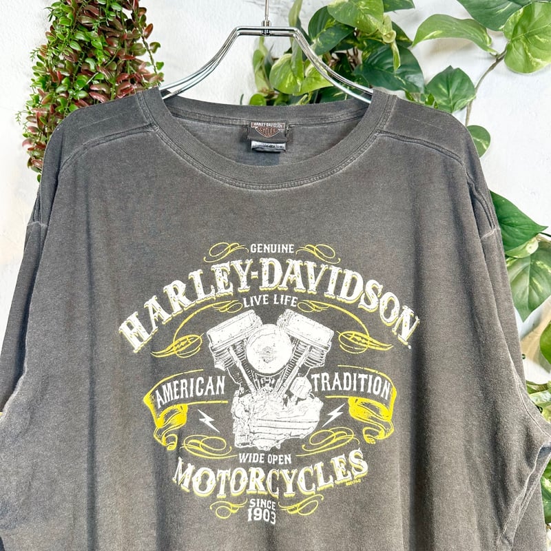 秋を見つけにツーリングするハーレーロンT IGB1201 | 古着屋mumu