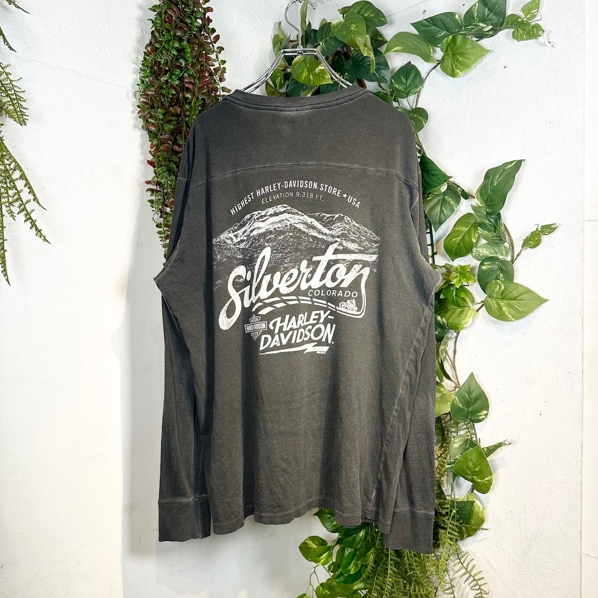 秋を見つけにツーリングするハーレーロンT IGB1201 | 古着屋mumu