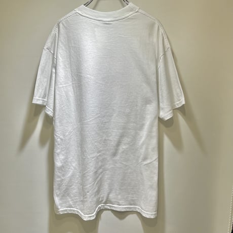 ころころ猫ちゃん刺繍Tシャツ　IGT3223