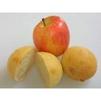 りんごパン | 天然パン工房楽楽