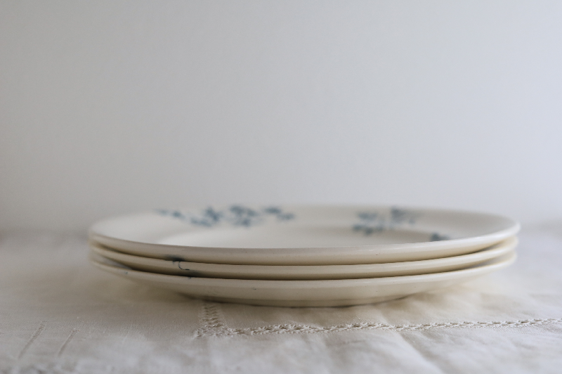 フランス・LONGWY窯 プレート | FLORAL