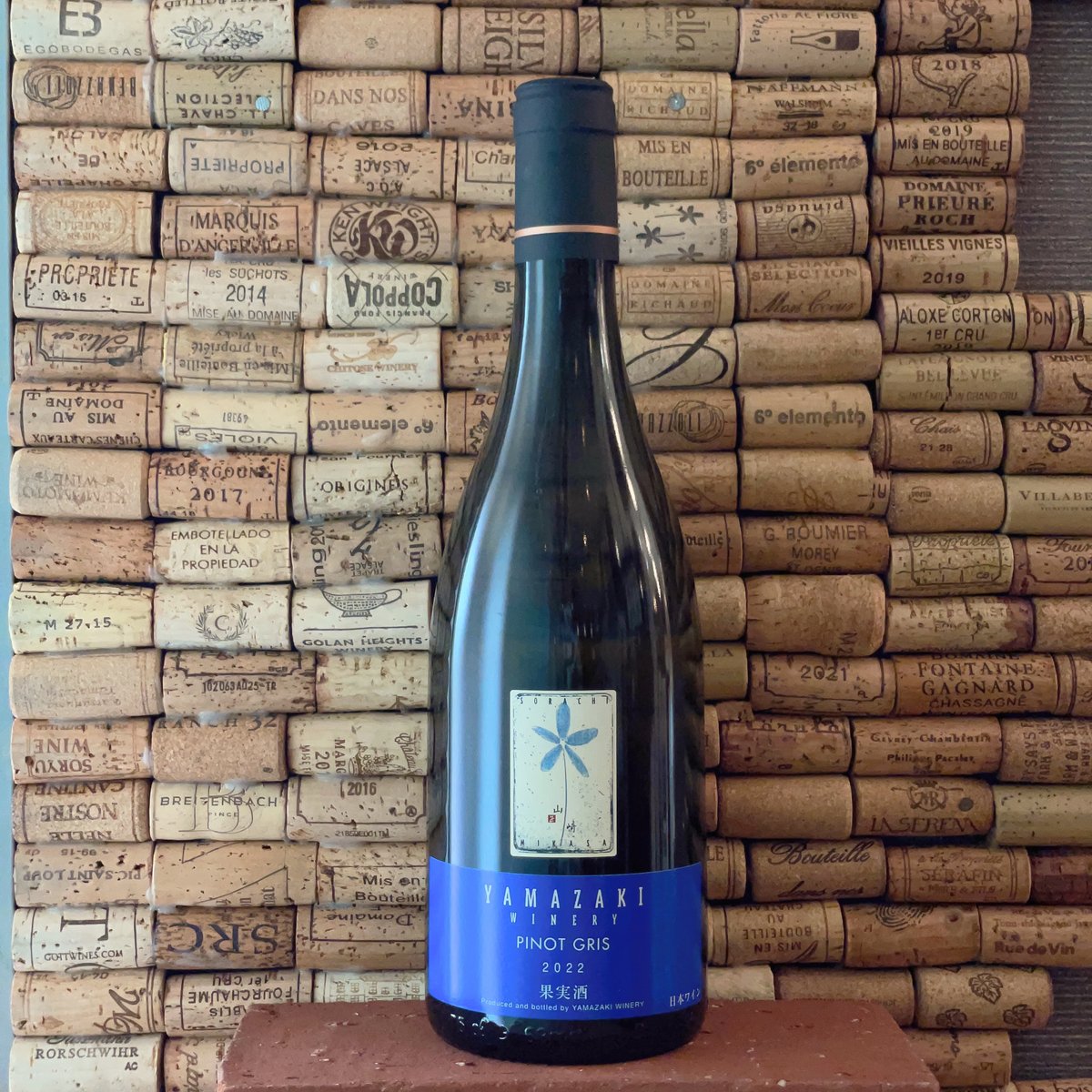 流行り の ブランド - 2024年おすすめのアイテム満載 ピノ・グリ2022  