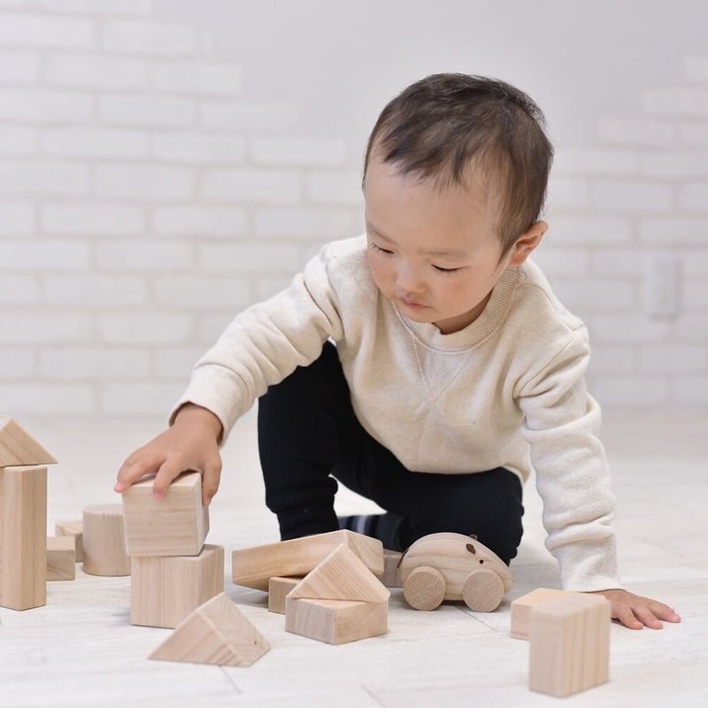 伸芽会　積み木（箱　冊子付き) Amazon | 伸芽会 教材積み木 つみき お受験 み 良 80ピース