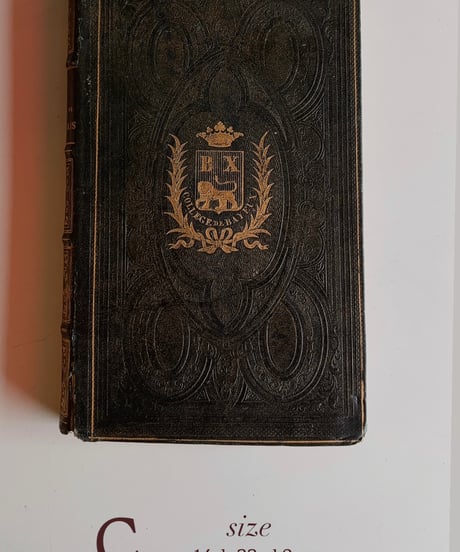 【フランス蚤の市】vintage book