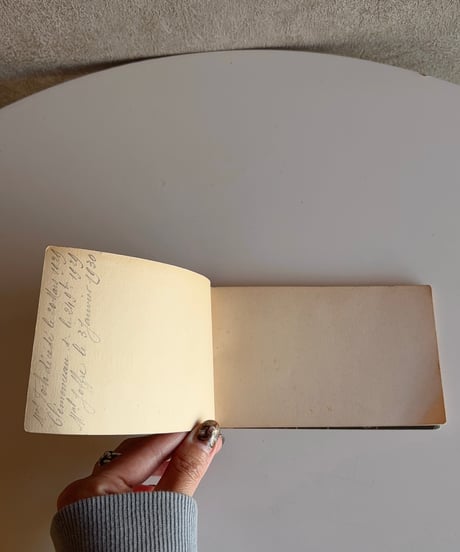 【フランス蚤の市】 vintage postcard book