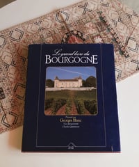 【フランス蚤の市】 vintage book