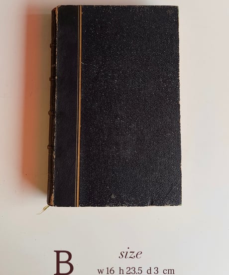 【フランス蚤の市】vintage book