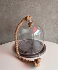 glass×wood  Dome