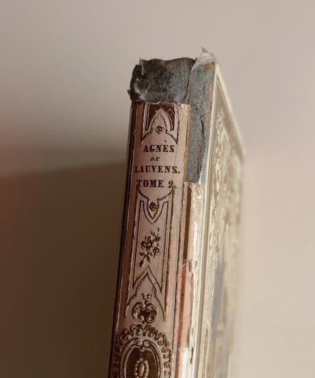 【フランス蚤の市】antique book