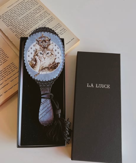SeverinePineaux  cat handmirror