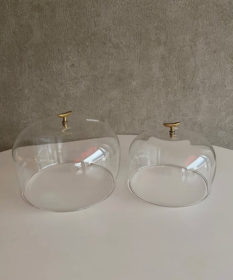 reusedglass × gold dorm