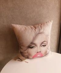 cusion cover