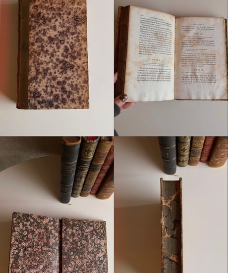 【フランス蚤の市】vintage book