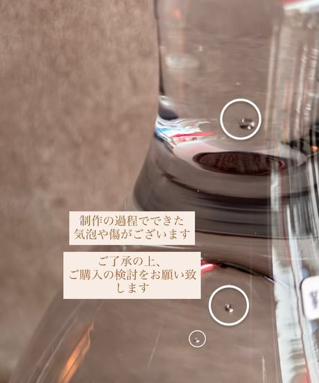 glass×wood Dome