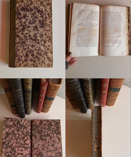 【フランス蚤の市】vintage book