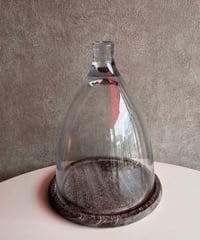 glass×wood Dome
