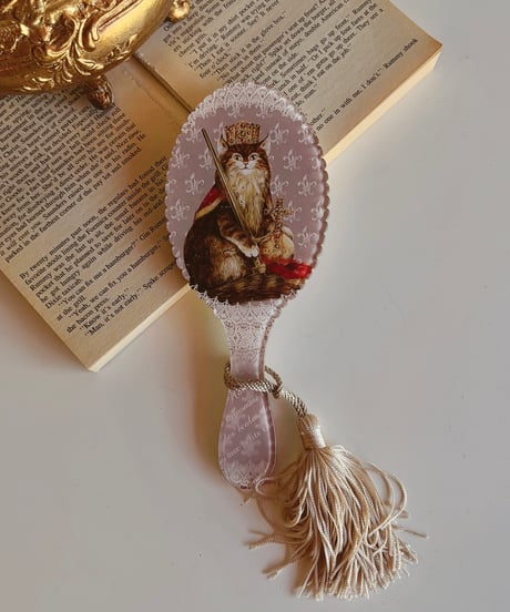 SeverinePineaux  cat handmirror