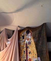 Noren art curtain