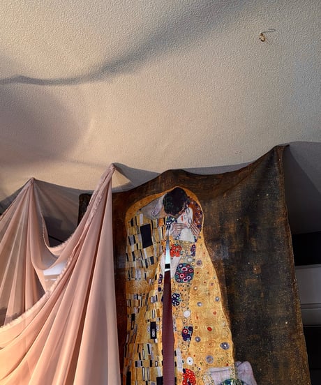Noren art curtain