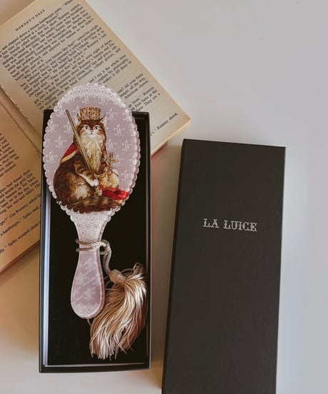 SeverinePineaux  cat handmirror