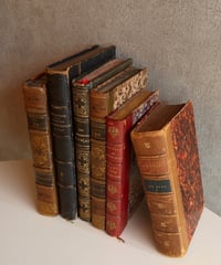 【フランス蚤の市】vintage book