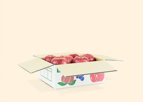 有機りんご 芳明　2キロ箱