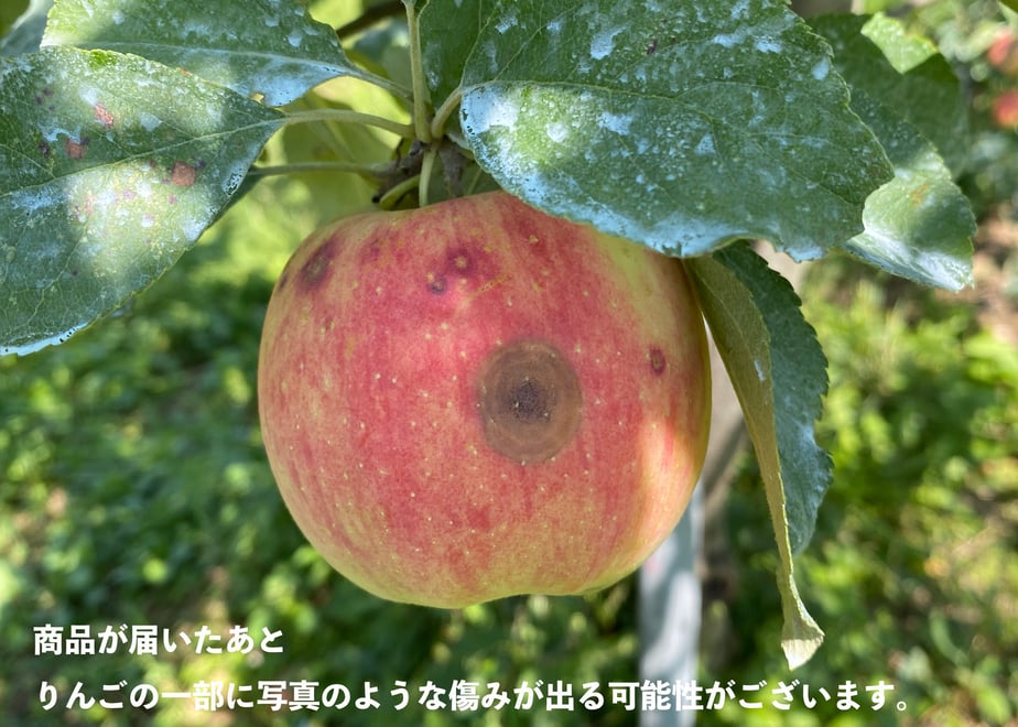 610775efa92a7845b94222ca