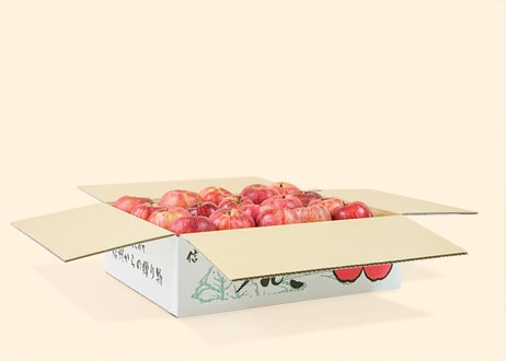 有機りんご ふじ　5キロ箱