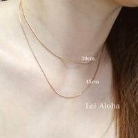 1mm snake
