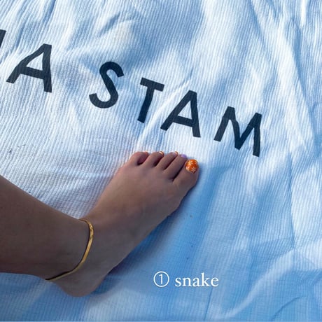 anklet  (snake×chain×rope)