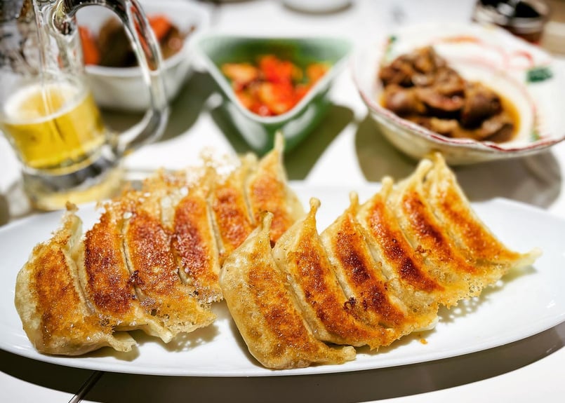 初回購入限定！お試し20個入り [20g×20個×1袋] 送料込 | 宇都宮餃子 宇