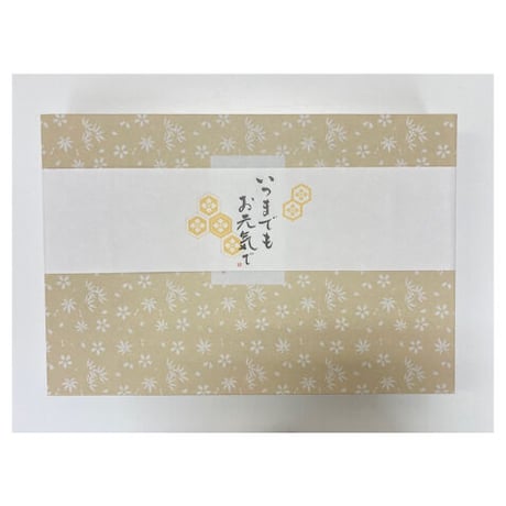 【敬老の日のプレゼントに】京阿月の和菓子セット：いつまでもお元気で【プレミアムセット（増量）】