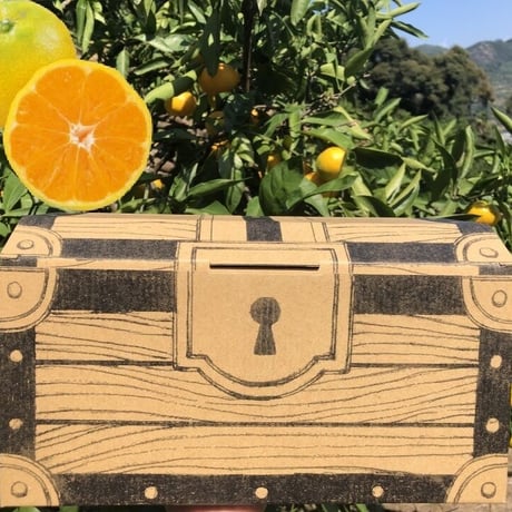 黄金みかんの宝箱　みかん2kg