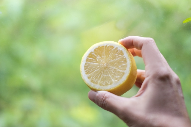 レモン 国産レモン1㎏ | 紀州伊藤園