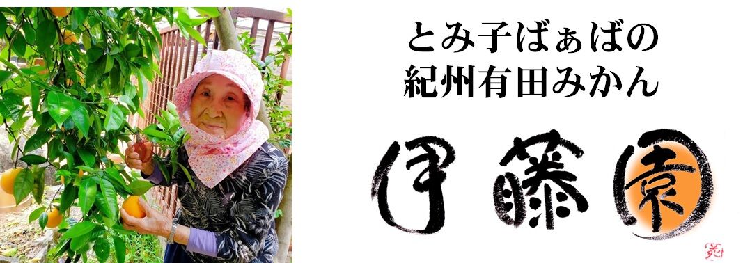 紀州伊藤園