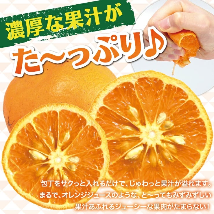 柑橘の女王！完熟春みかん「なつみ」3㎏ | 紀州伊藤園