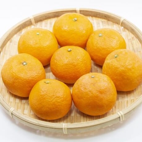 柑橘の女王！完熟春みかん「なつみ」5kg