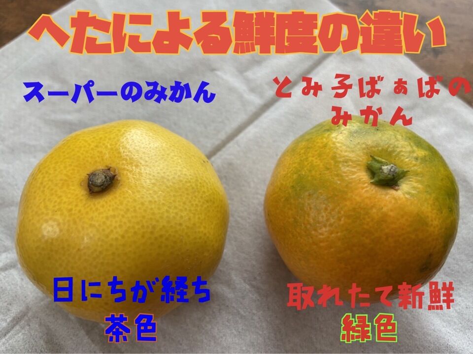 S~Mサイズ5kg】和歌山県有田産 有田みかん | 紀州伊藤園 S~Mサイズ5kg】和歌山県有田産 有田みかん | 紀州伊藤園