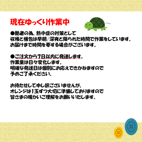 【 3kg】希少な国産バレンシアオレンジ