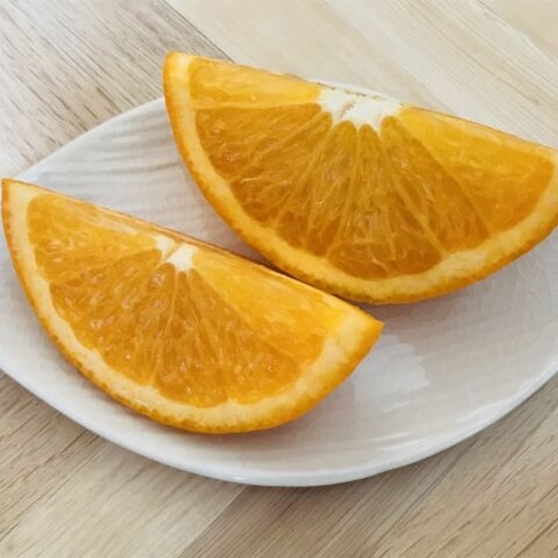3kg】希少な国産バレンシアオレンジ | 紀州伊藤園