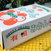 S～LMサイズ10kg】中生（なかて）有田みかん | 紀州伊藤園